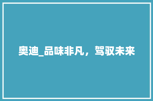 奥迪_品味非凡，驾驭未来