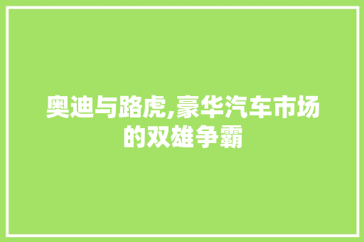 奥迪与路虎,豪华汽车市场的双雄争霸