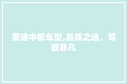 奥迪中配车型,品质之选，驾驭非凡