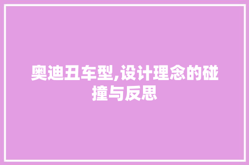 奥迪丑车型,设计理念的碰撞与反思