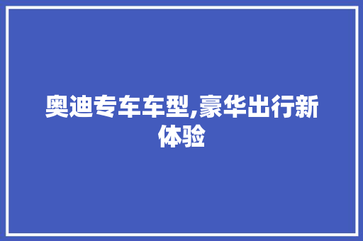 奥迪专车车型,豪华出行新体验