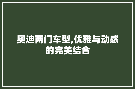 奥迪两门车型,优雅与动感的完美结合