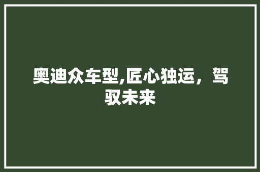 奥迪众车型,匠心独运，驾驭未来