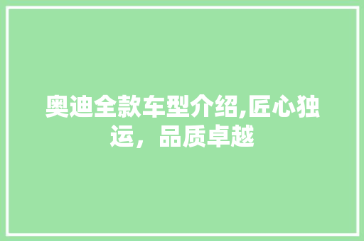 奥迪全款车型介绍,匠心独运，品质卓越