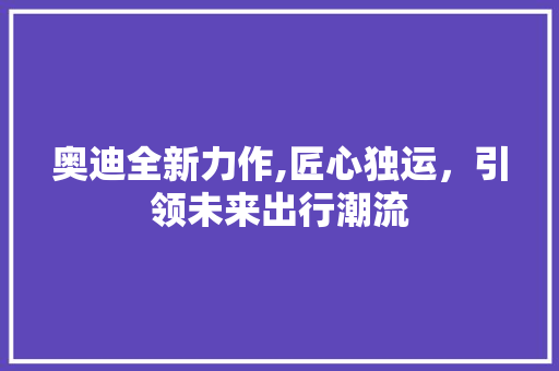 奥迪全新力作,匠心独运，引领未来出行潮流