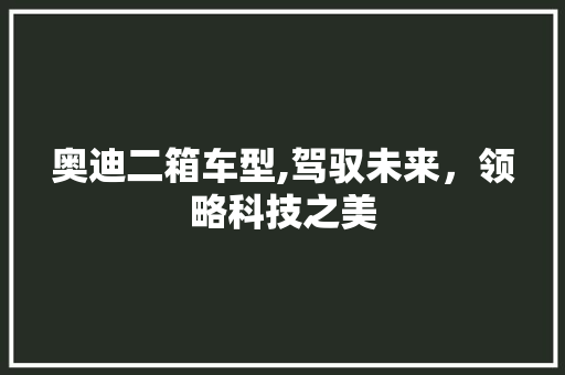 奥迪二箱车型,驾驭未来，领略科技之美