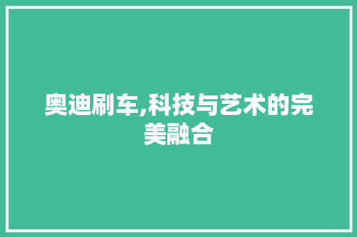 奥迪刷车,科技与艺术的完美融合