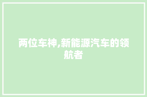 两位车神,新能源汽车的领航者 发动机配件