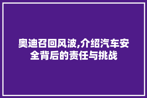 奥迪召回风波,介绍汽车安全背后的责任与挑战