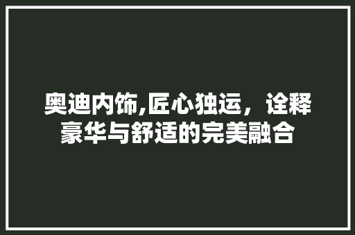 奥迪内饰,匠心独运，诠释豪华与舒适的完美融合