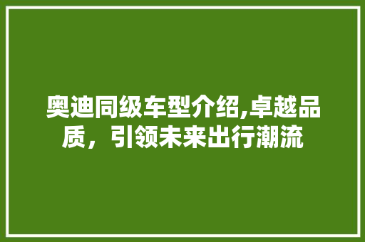 奥迪同级车型介绍,卓越品质，引领未来出行潮流