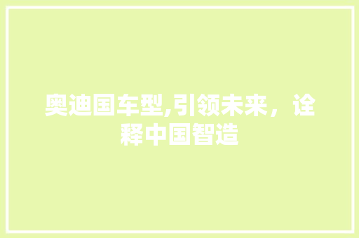 奥迪国车型,引领未来，诠释中国智造