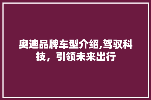 奥迪品牌车型介绍,驾驭科技，引领未来出行