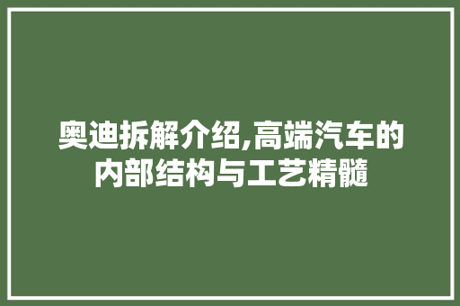 奥迪拆解介绍,高端汽车的内部结构与工艺精髓