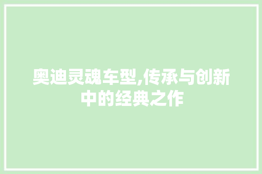 奥迪灵魂车型,传承与创新中的经典之作