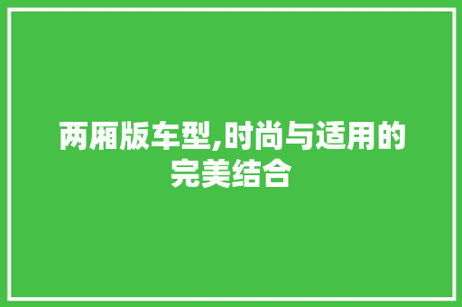 两厢版车型,时尚与适用的完美结合 车身配件