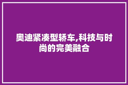 奥迪紧凑型轿车,科技与时尚的完美融合