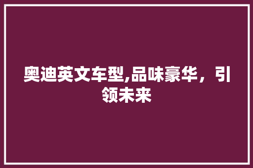 奥迪英文车型,品味豪华，引领未来 汽车配件