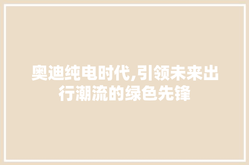 奥迪纯电时代,引领未来出行潮流的绿色先锋