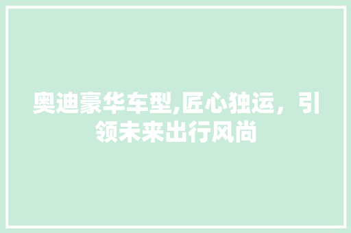 奥迪豪华车型,匠心独运，引领未来出行风尚