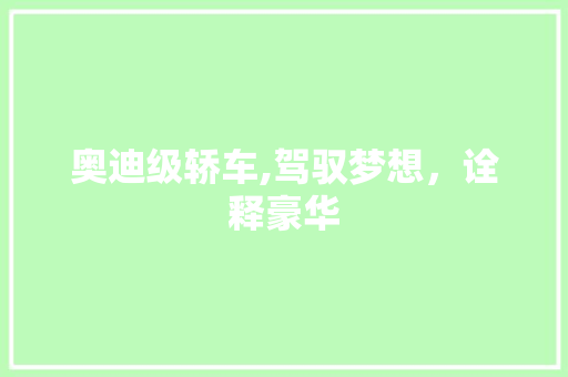奥迪级轿车,驾驭梦想，诠释豪华