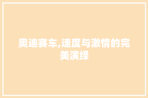 奥迪赛车,速度与激情的完美演绎