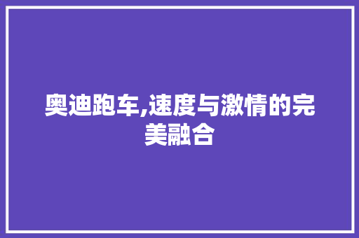 奥迪跑车,速度与激情的完美融合