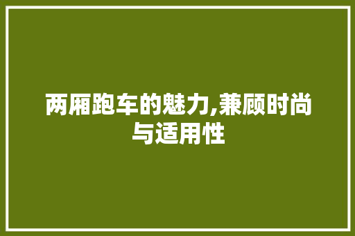 两厢跑车的魅力,兼顾时尚与适用性 汽车配件