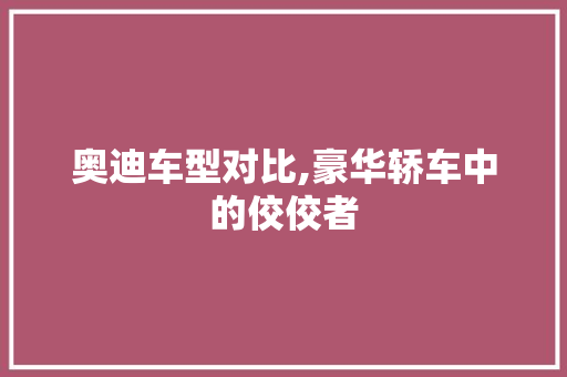 奥迪车型对比,豪华轿车中的佼佼者
