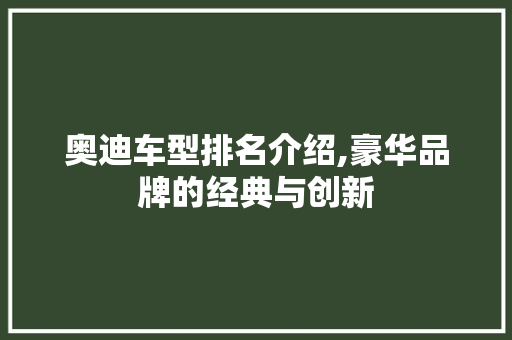 奥迪车型排名介绍,豪华品牌的经典与创新