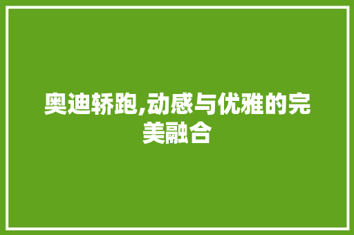 奥迪轿跑,动感与优雅的完美融合