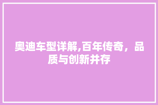 奥迪车型详解,百年传奇，品质与创新并存
