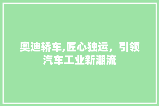 奥迪轿车,匠心独运，引领汽车工业新潮流