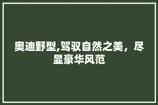 奥迪野型,驾驭自然之美，尽显豪华风范