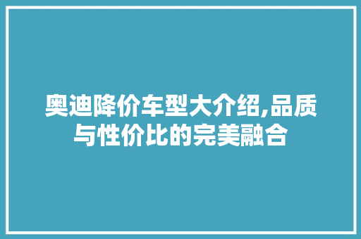 奥迪降价车型大介绍,品质与性价比的完美融合 车身配件
