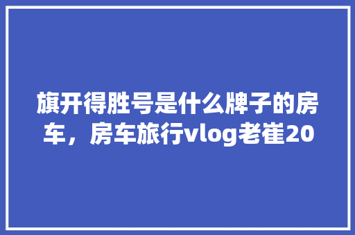 2023年中等车型市场排名,实力与口碑并重的典范