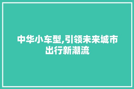 中华小车型,引领未来城市出行新潮流 车灯配件