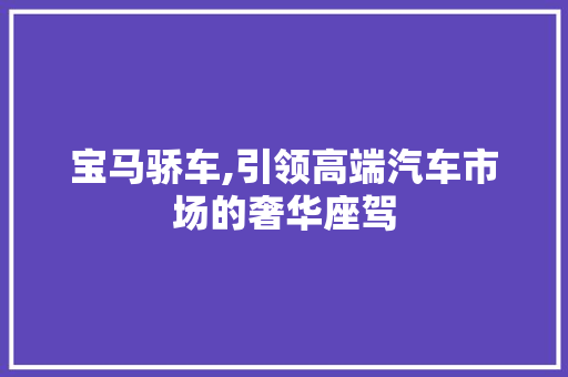 宝马骄车,引领高端汽车市场的奢华座驾