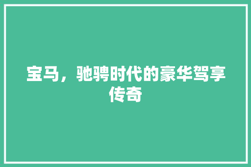 宝马，驰骋时代的豪华驾享传奇