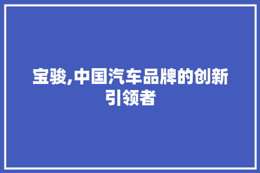 宝骏,中国汽车品牌的创新引领者