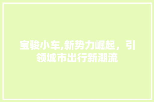 宝骏小车,新势力崛起，引领城市出行新潮流
