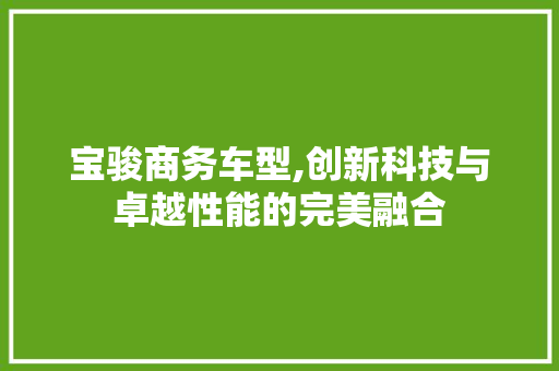 宝骏商务车型,创新科技与卓越性能的完美融合