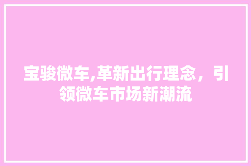 宝骏微车,革新出行理念，引领微车市场新潮流