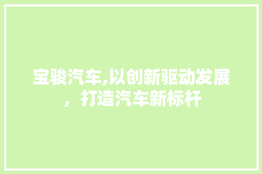宝骏汽车,以创新驱动发展，打造汽车新标杆
