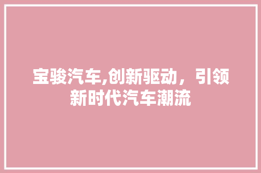 宝骏汽车,创新驱动，引领新时代汽车潮流