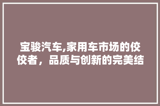 宝骏汽车,家用车市场的佼佼者，品质与创新的完美结合