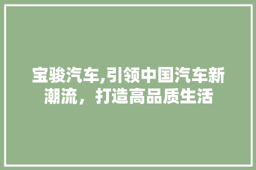 宝骏汽车,引领中国汽车新潮流，打造高品质生活