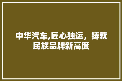 中华汽车,匠心独运，铸就民族品牌新高度