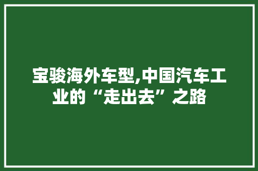宝骏海外车型,中国汽车工业的“走出去”之路
