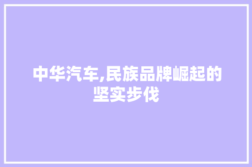 中华汽车,民族品牌崛起的坚实步伐 新能源汽车